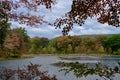 View Through Tree Leaves of Autumn Lakeshore Royalty Free Stock Photo