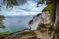View through the tree onto Mons Klint cliffs Royalty Free Stock Photo