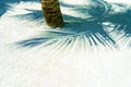 View of Tree Trunk on White Sandy Beach and Shadow of Palm Leaves Royalty Free Stock Photo