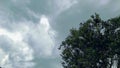 View of a tree under a sky surrounded by dark clouds Royalty Free Stock Photo