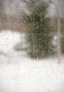 View of tree through window with drops