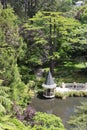 Duck Pond, Wellington Botanic Garden, New Zealand Royalty Free Stock Photo