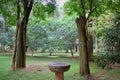Bird bath bowl and trees Royalty Free Stock Photo