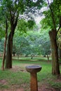 Bird bath bowl between the trees in a park Royalty Free Stock Photo