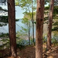 A view through the trees of the cliffs of Bon Echo Park, Ontario