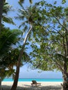 A view between trees on the coast of the Indian Ocean with white sand, azure water and a sun lounger on the beach in the Maldives Royalty Free Stock Photo