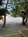 A view between trees on the coast of the Indian Ocean with white sand, azure water and a sun lounger on the beach in the Maldives Royalty Free Stock Photo