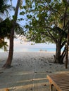 A view between trees on the coast of the Indian Ocean with white sand, azure water and a sun lounger on the beach in the Maldives Royalty Free Stock Photo