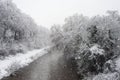 Trees covered by the snow in border the il river in Mulhouse Royalty Free Stock Photo