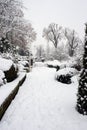 trees covered by the snow in a public garden by snowy day Royalty Free Stock Photo