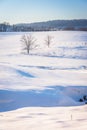 View of trees and fences in a snow-covered farm field in rural Y Royalty Free Stock Photo