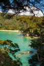 A view through the trees of an inlet and beach at the incredibly beautiful Able Tasman National Park, South Island, New Zealand