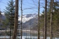 View among the trees on KlÃÂ¶ntalersee lake Royalty Free Stock Photo