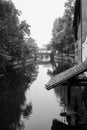 trees reflection in border the Il river at the little france quarter in Strasbourg in black and white Royalty Free Stock Photo