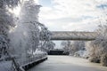 trees silhouettes and bridge covered by the snow in border frozen river by sunny day Royalty Free Stock Photo