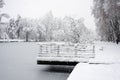 trees silhouettes covered by the snow in border frozen river during a snowy day Royalty Free Stock Photo