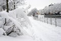 trees silhouettes covered by the snow in border frozen river Royalty Free Stock Photo