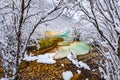 View of trees with snow covered branches and icy water Royalty Free Stock Photo