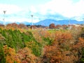 view trees and some colour leafs.