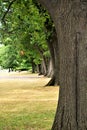 Saint Anne's Shrine, St. Anne's, Isle La Motte, an island in Lake Champlain, Grand Island County, Vermont, United