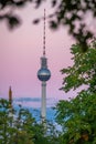 View through trees to the Berlin TV tower at dawn, Germany