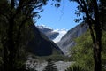 Through trees Fox Glacier, Te Moeka o Tuawe, NZ Royalty Free Stock Photo