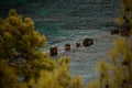 view through trees to large stones on beautiful sea surface Royalty Free Stock Photo