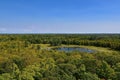 View of the treetops of a forest Royalty Free Stock Photo