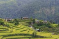 terraces, rice fields and villages in Himalayas