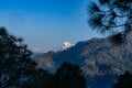 View of the Trisul mountain peak on the Himalayan range framed with pine trees