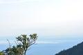 A view from Triund