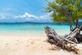 View of tropical beach on the Banana island, Busuanga, Palawan Royalty Free Stock Photo