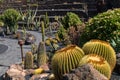 View of tropical cactus garden, jardin de cactus in Guatiza, popular attraction in Lanzarote, Canary islands. Royalty Free Stock Photo