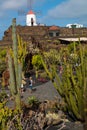 View of tropical cactus garden, jardin de cactus in Guatiza, popular attraction in Lanzarote, Canary islands. Royalty Free Stock Photo