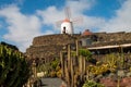 View of tropical cactus garden, jardin de cactus in Guatiza, popular attraction in Lanzarote, Canary islands. Royalty Free Stock Photo