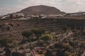 View of tropical cactus garden, jardin de cactus in Guatiza, popular attraction in Lanzarote, Canary islands. Royalty Free Stock Photo