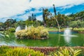 Tropical garden in the city of Funchal, Madeira Royalty Free Stock Photo