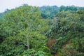 View of tropical jungle between the mountains Royalty Free Stock Photo