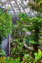 View of tropical rainforest biome trees inside dome with painted wall and winding pathway