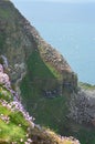 View from Troup Head in Scotland Royalty Free Stock Photo