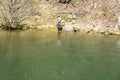 A view of a Trout Fisherman on a Wild Mountain Trout Stream