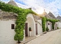 View of Trulli houses in Alberobello Royalty Free Stock Photo