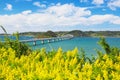 View of Tsunoshima with goldenrod flowers in Shimonoseki, Yamaguchi, Japan Royalty Free Stock Photo