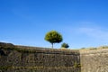 Tui, Pilgrim trail on the Camino de Santiago trail, Spain Royalty Free Stock Photo