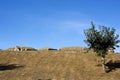 Tui, Pilgrim trail on the Camino de Santiago trail, Spain Royalty Free Stock Photo