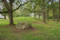 View of the tumulus of Dolmen D13 Royalty Free Stock Photo