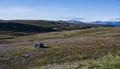 View of tundra landscape