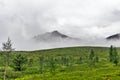 View of the tundra and mountain of the subpolar urals