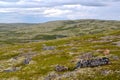 View of the tundra in the north of the Kola Peninsula