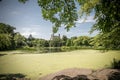 View on the Turtle Pond in Central park in New York Royalty Free Stock Photo